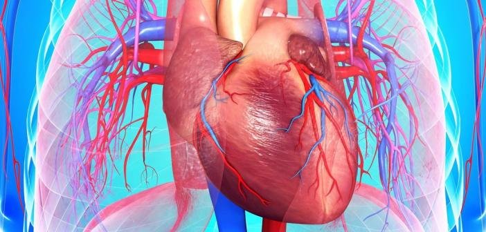 Heart disease: Types, Causes, Symptoms, and Treatments
